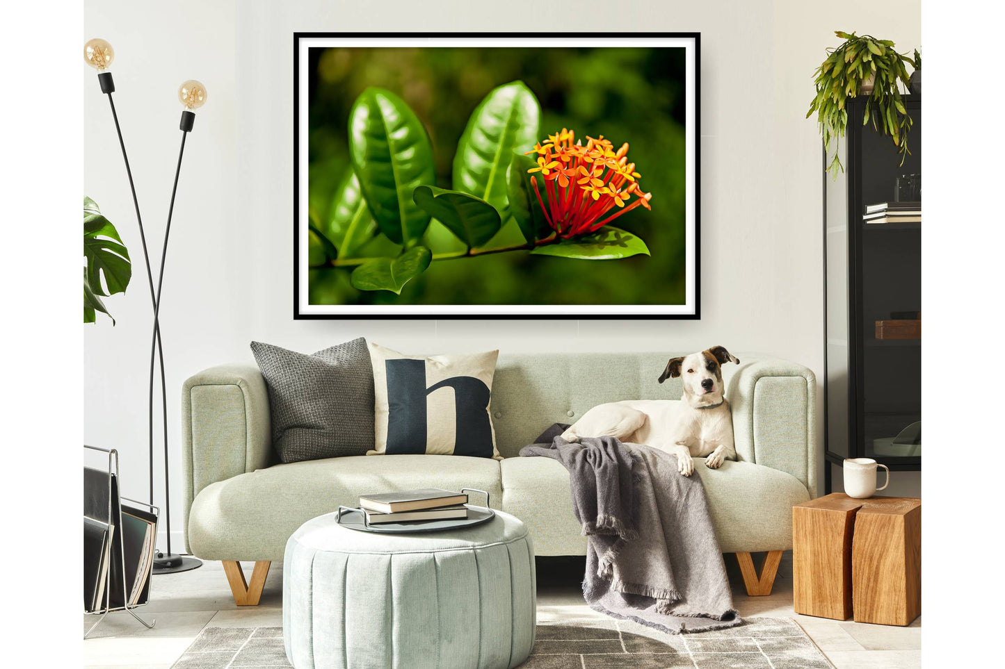 Floral and tropical wall art. Floral and tropical wall prints