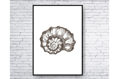 Set of 3 prints. Beach Ocean Wall Art. Sea shells drawings. Size A4. #0254