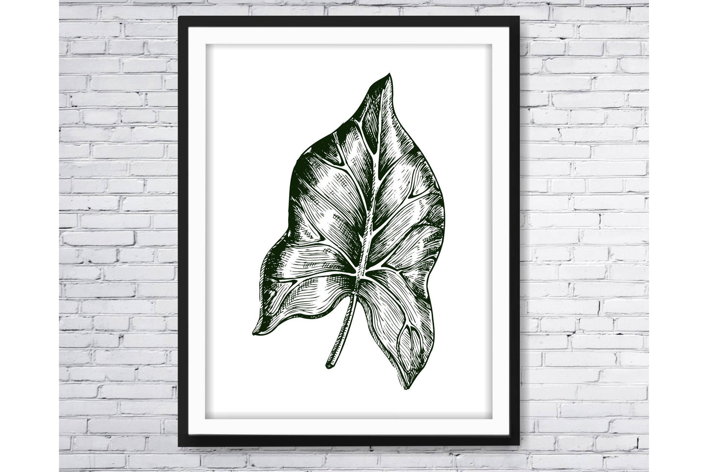 Black and white Tropical leavs print.