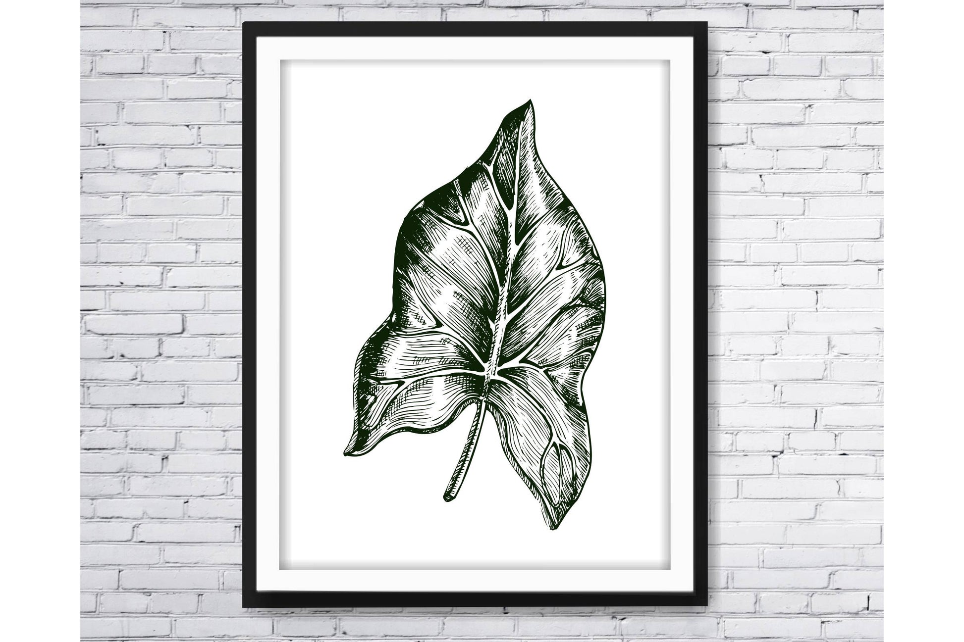 Black and white Tropical leavs print.