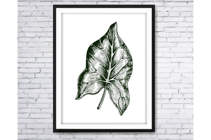 Black and white Tropical leavs print.