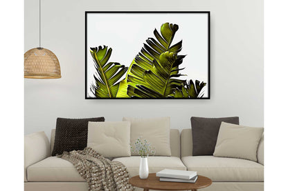 Tropical leavs print.