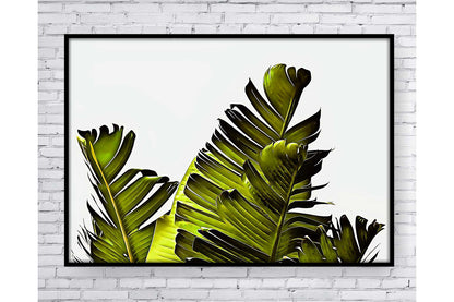 Pastel Tropical leavs print.