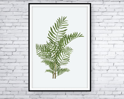 Floral and tropical floral wall art.