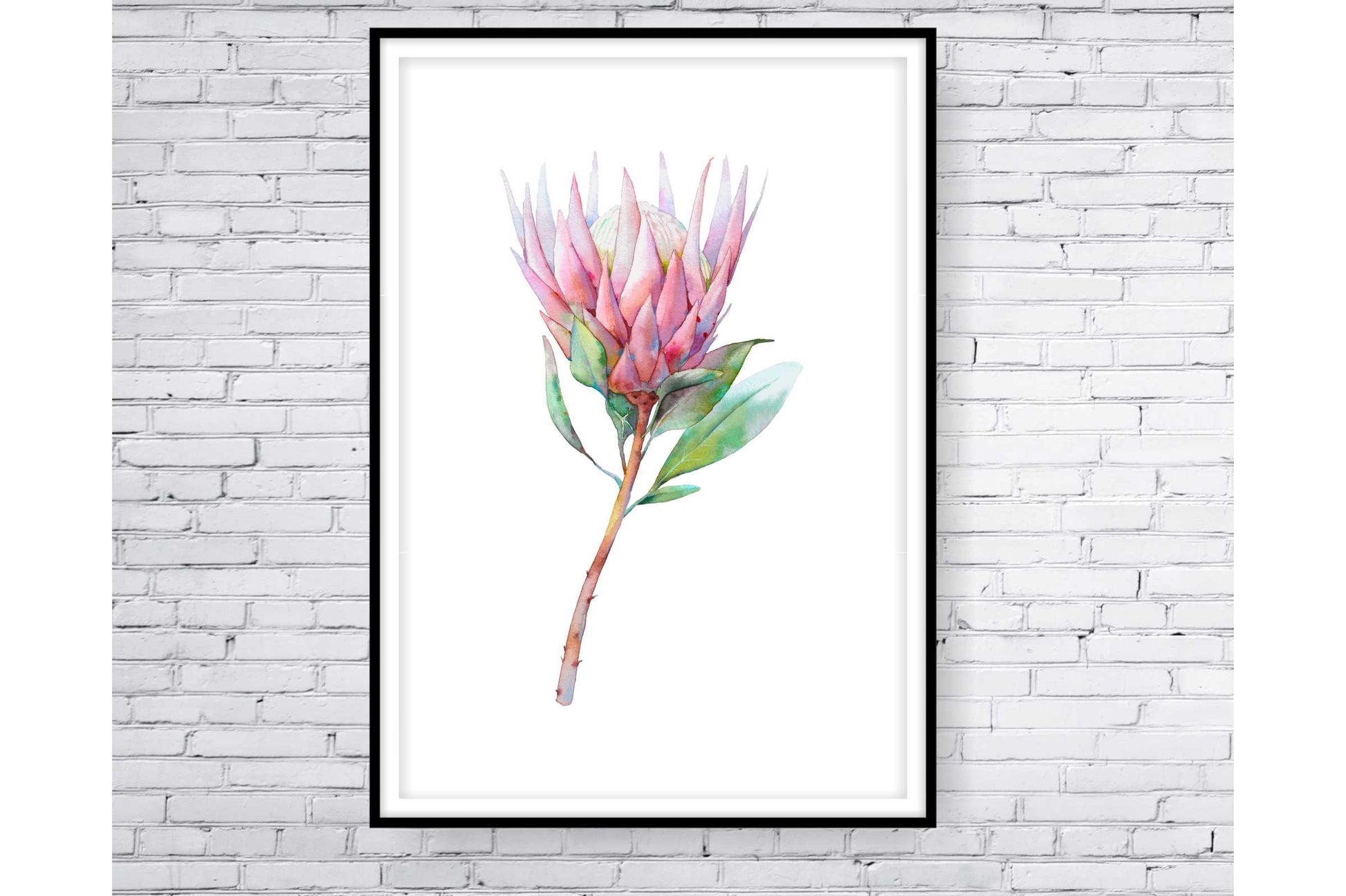 Floral and tropical wall art. Floral and tropical wall prints