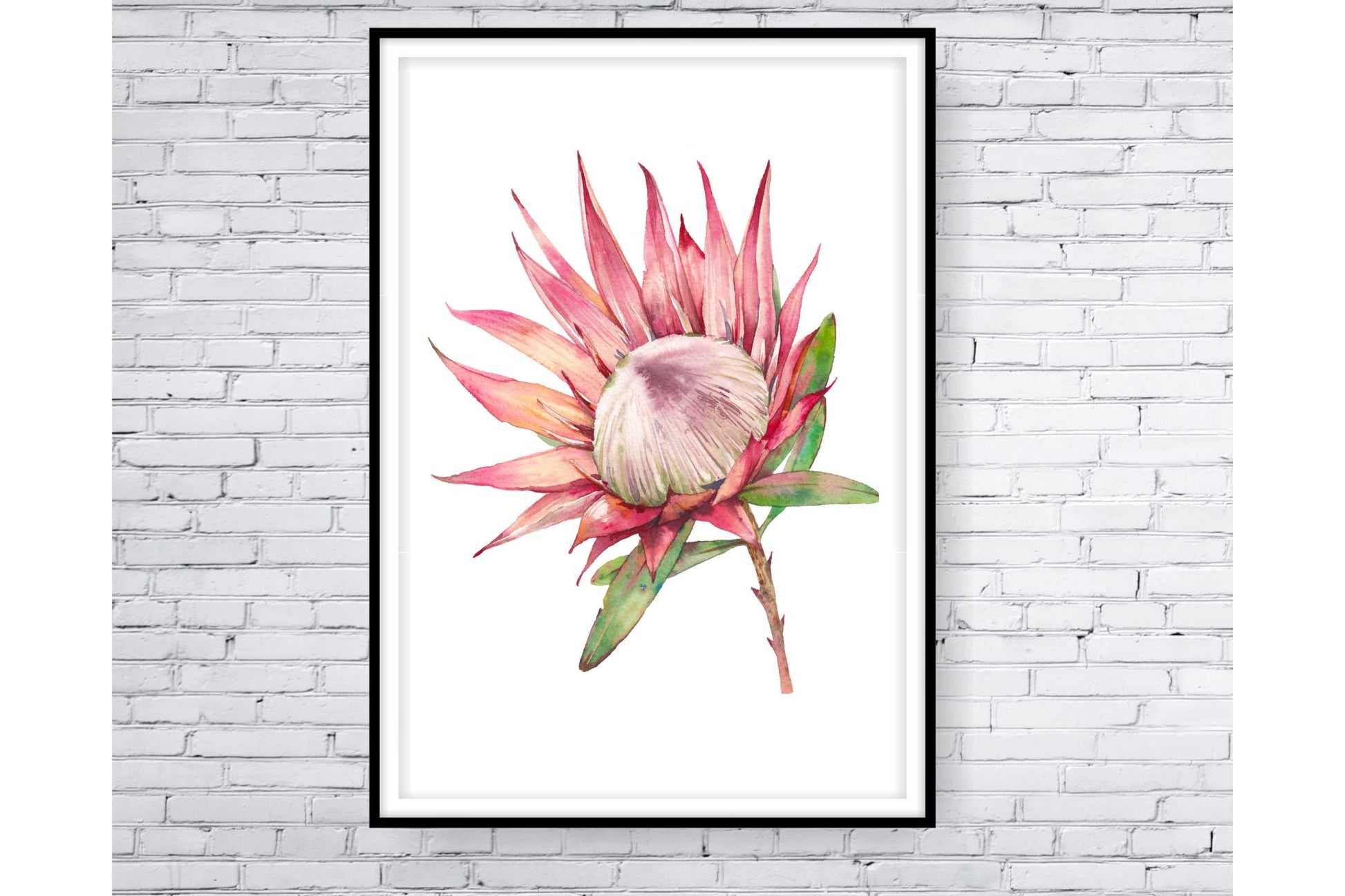 Floral and tropical wall art. Floral and tropical wall prints