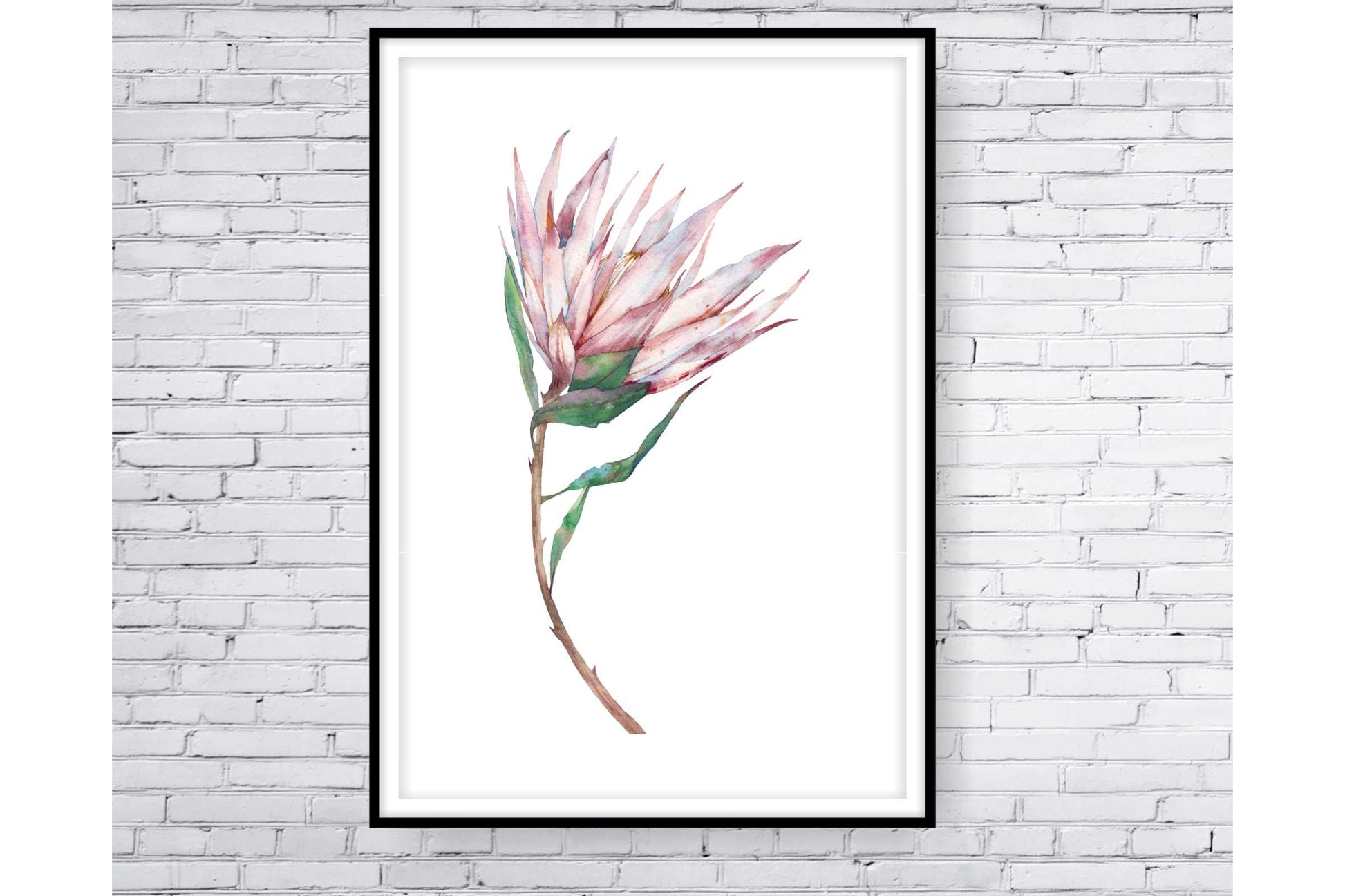 Floral and tropical wall art. Floral and tropical wall prints